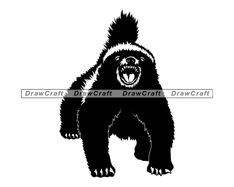 Download Honey Badger 3 SVG Honey Badger SVG Forest Creatures SVG ...