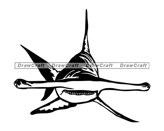 Free Free Hammerhead Shark Svg 766 SVG PNG EPS DXF File