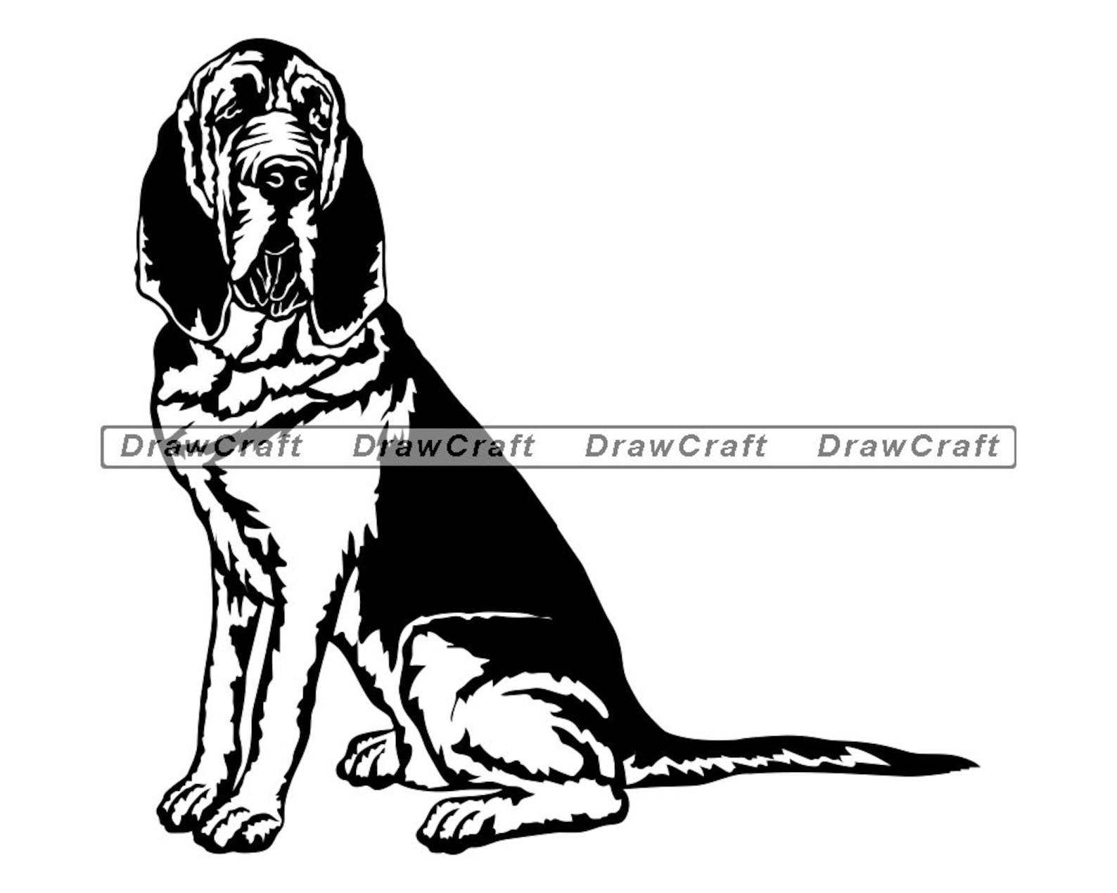 Sitting Bloodhound SVG Bloodhound Svg Dog Svg Bloodhound | Etsy
