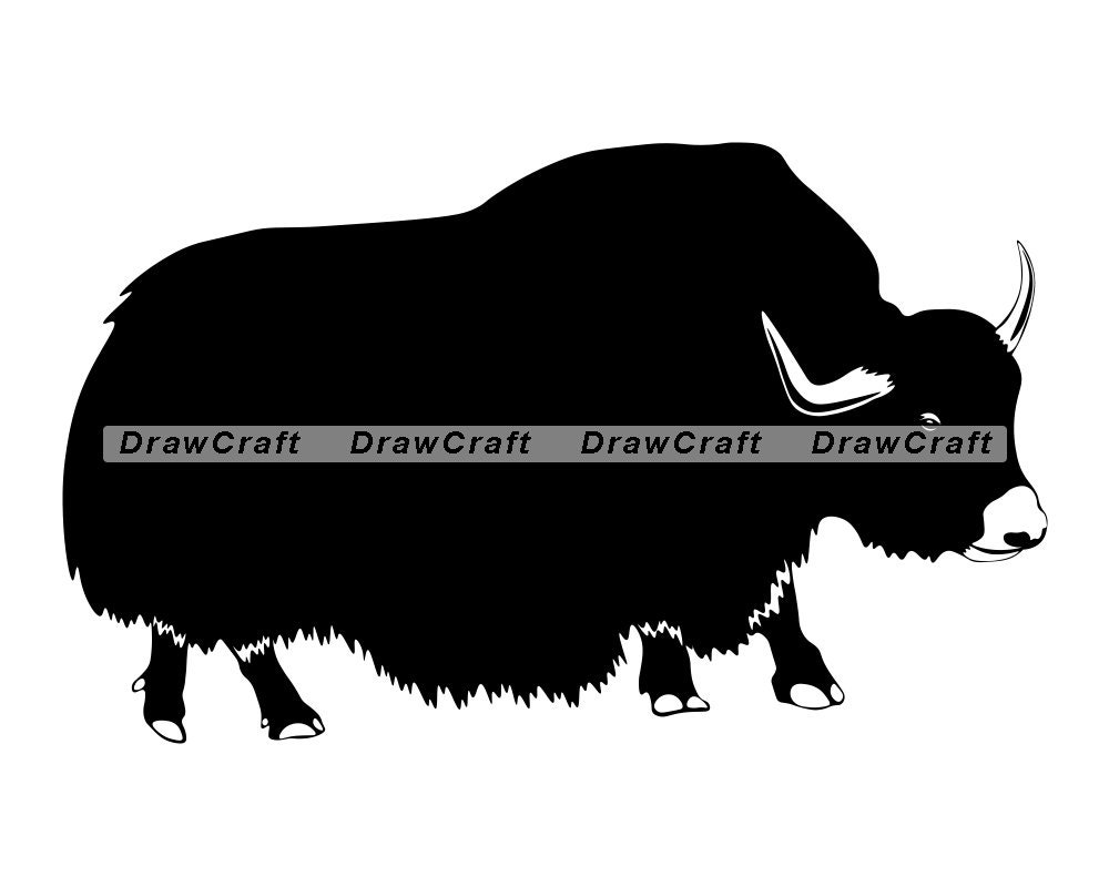 Yak 5 SVG Yak SVG Yak PNG Yak Design Yak Clipart Yak Cut | Etsy