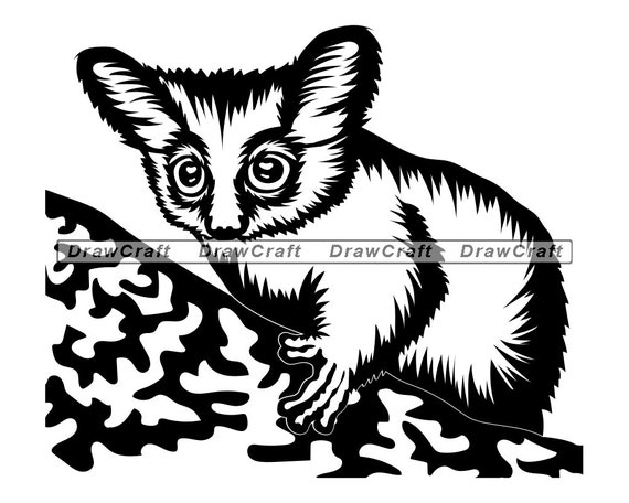 Download Bush Baby Svg Galago Svg Bush Baby Cut Files Bush Baby Files For Cricut Bush Baby Clipart Bush Baby Png Bush Baby Dxf Eps