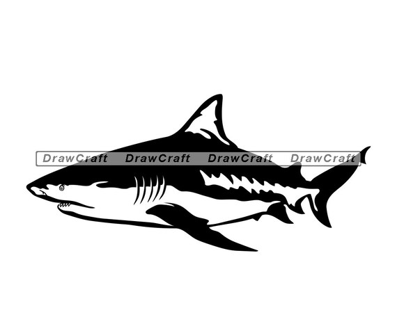 Free Free Shark Svg Etsy 138 SVG PNG EPS DXF File