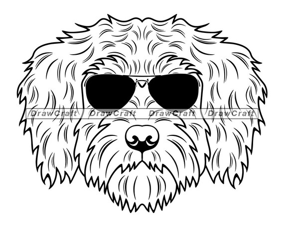 Schnoodle in Sunglasses SVG Schnoodle Svg Dog Svg Schnoodle | Etsy