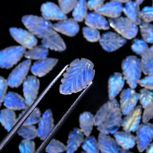 May include: A collection of small, translucent moonstone beads carved into the shape of leaves. Each bead displays a distinct blue adularescence or flash. One individual leaf-shaped moonstone bead is held by metal tweezers in the center.