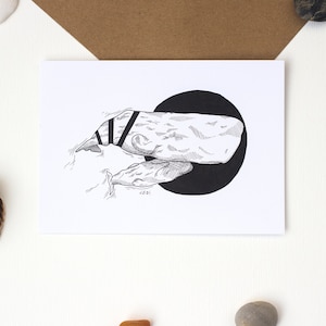 Carte postale illustration cachalot