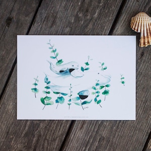 Carte postale béluga et algues à l'aquarelle