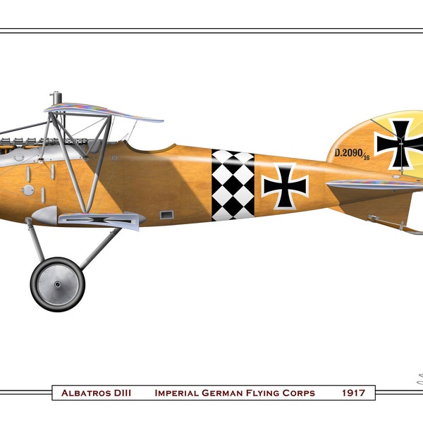 Historisches Flugzeug: Albatros DIII