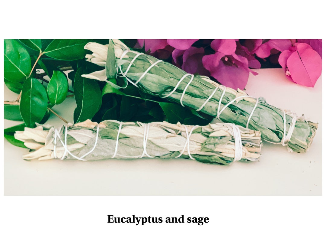 Sage and Eucalyptus Smudge Wand / Ritual Wholesale Bundle 20 Etsy