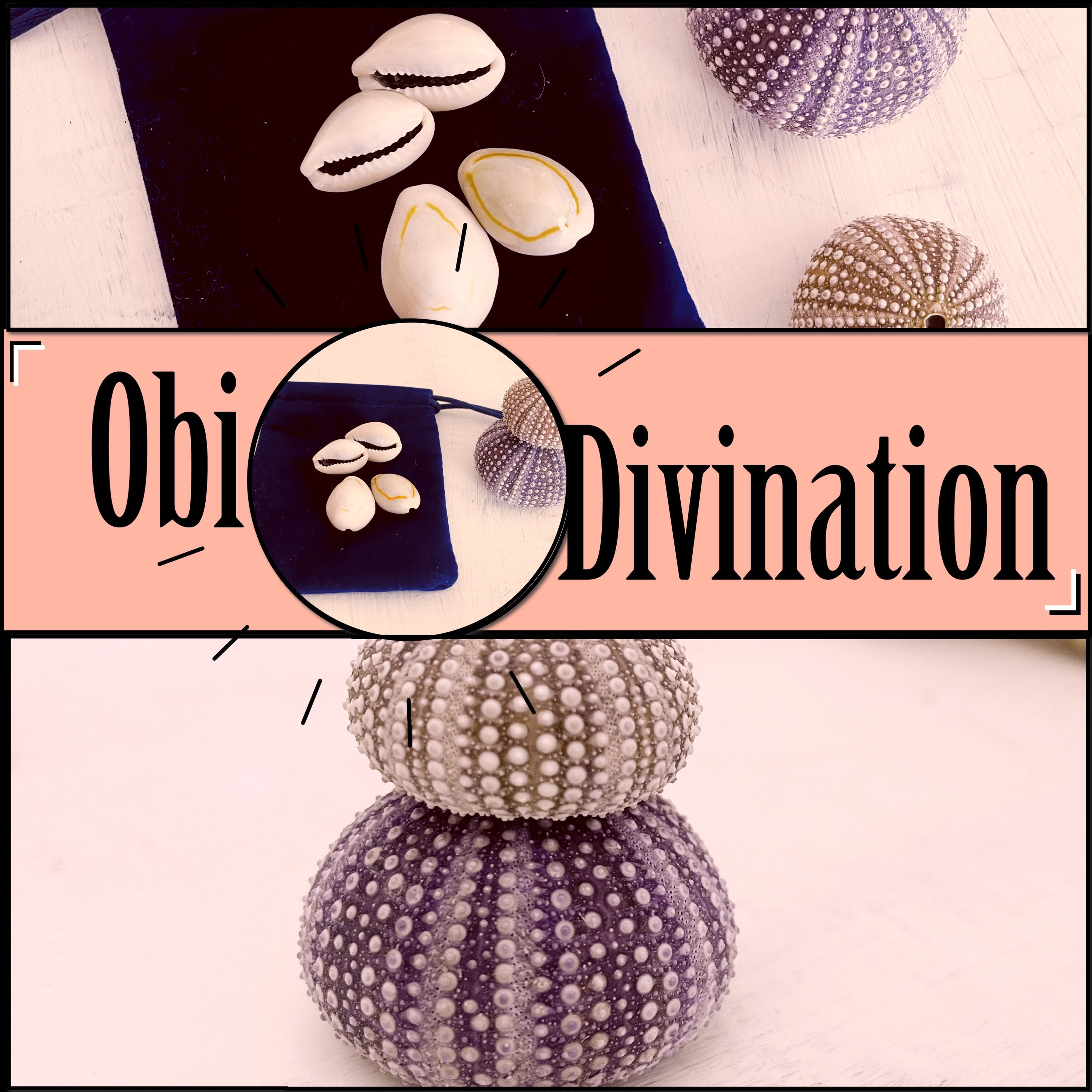 Obi divination set and 2 urchins for protection / water witch Etsy