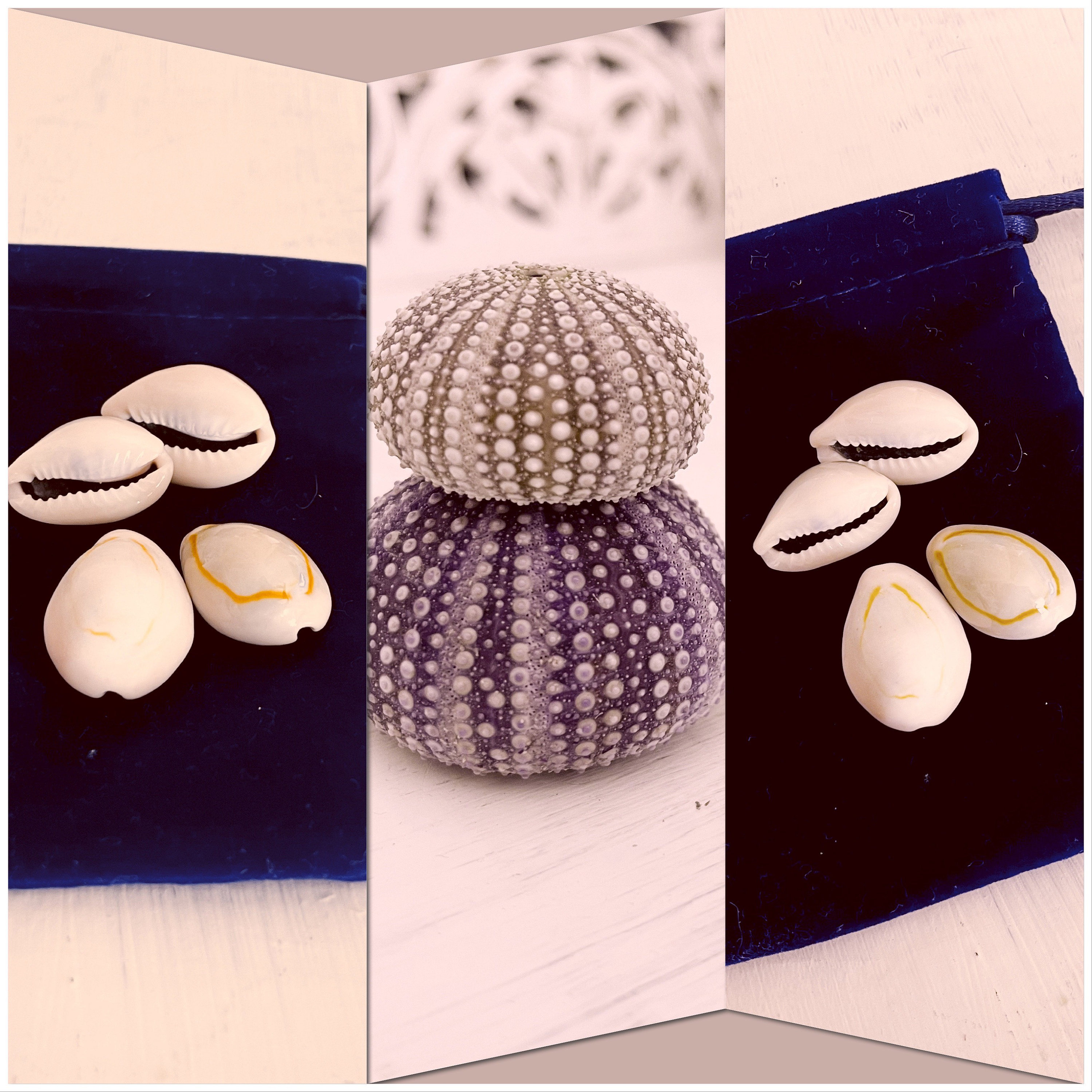 Obi divination set and 2 urchins for protection / water witch Etsy