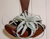 Vintage Wooden Wall Planter Wall Caddy