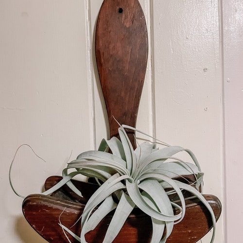 Vintage Wooden Wall Planter / Wall Caddy