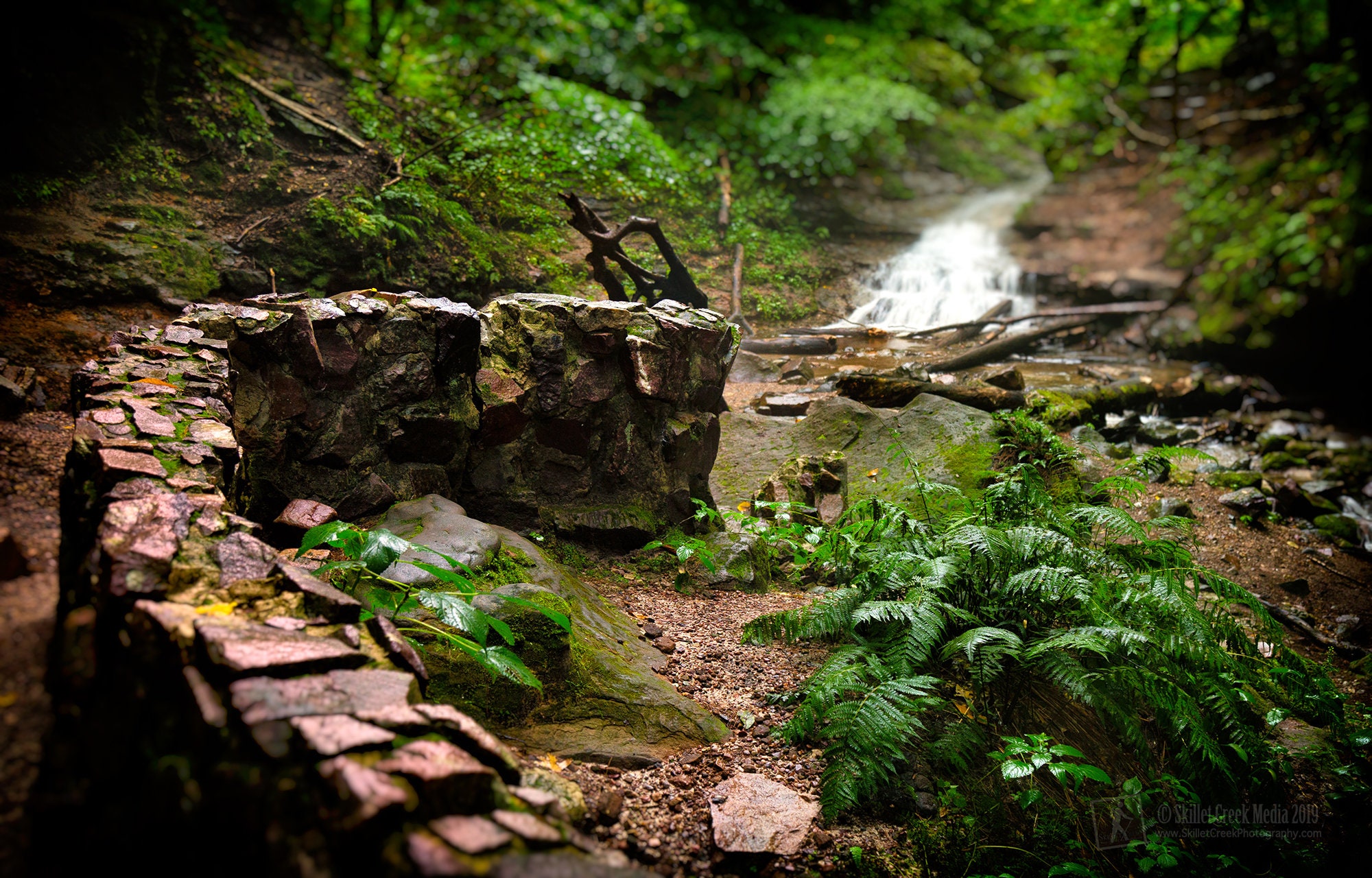 The Ruins. Parfrey's Glen State Natural Area Etsy