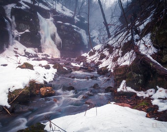 A Cold Winter Fog at Parfrey's Glen State Natural Area