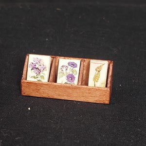 Scatola di carte botaniche in miniatura in scala 1:12, decorazione per casa delle bambole, ufficio per casa delle bambole