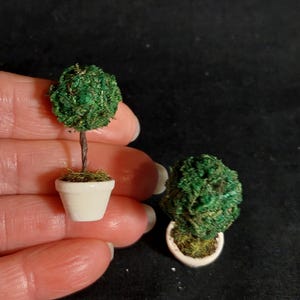 Miniature topiary (buxus)  scale 1:12