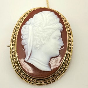 May include: Oval cameo pendant featuring a white profile against a reddish-brown background. The cameo is set in a gold-colored frame with a beaded border. A gold chain is attached to the top, and a pin is on the back.