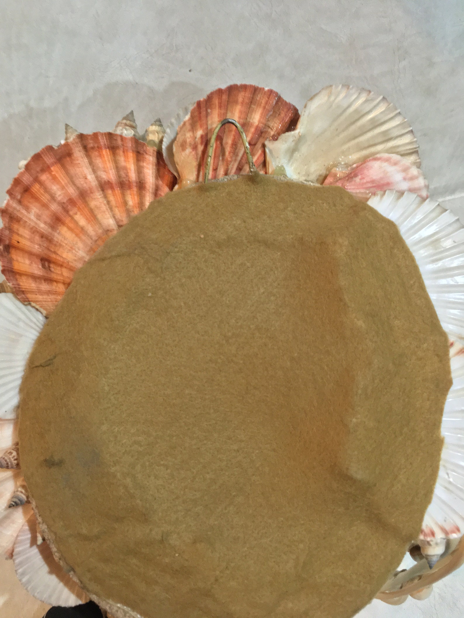 Aphrodite Shell wall hanging sculpture rare unique item | Etsy