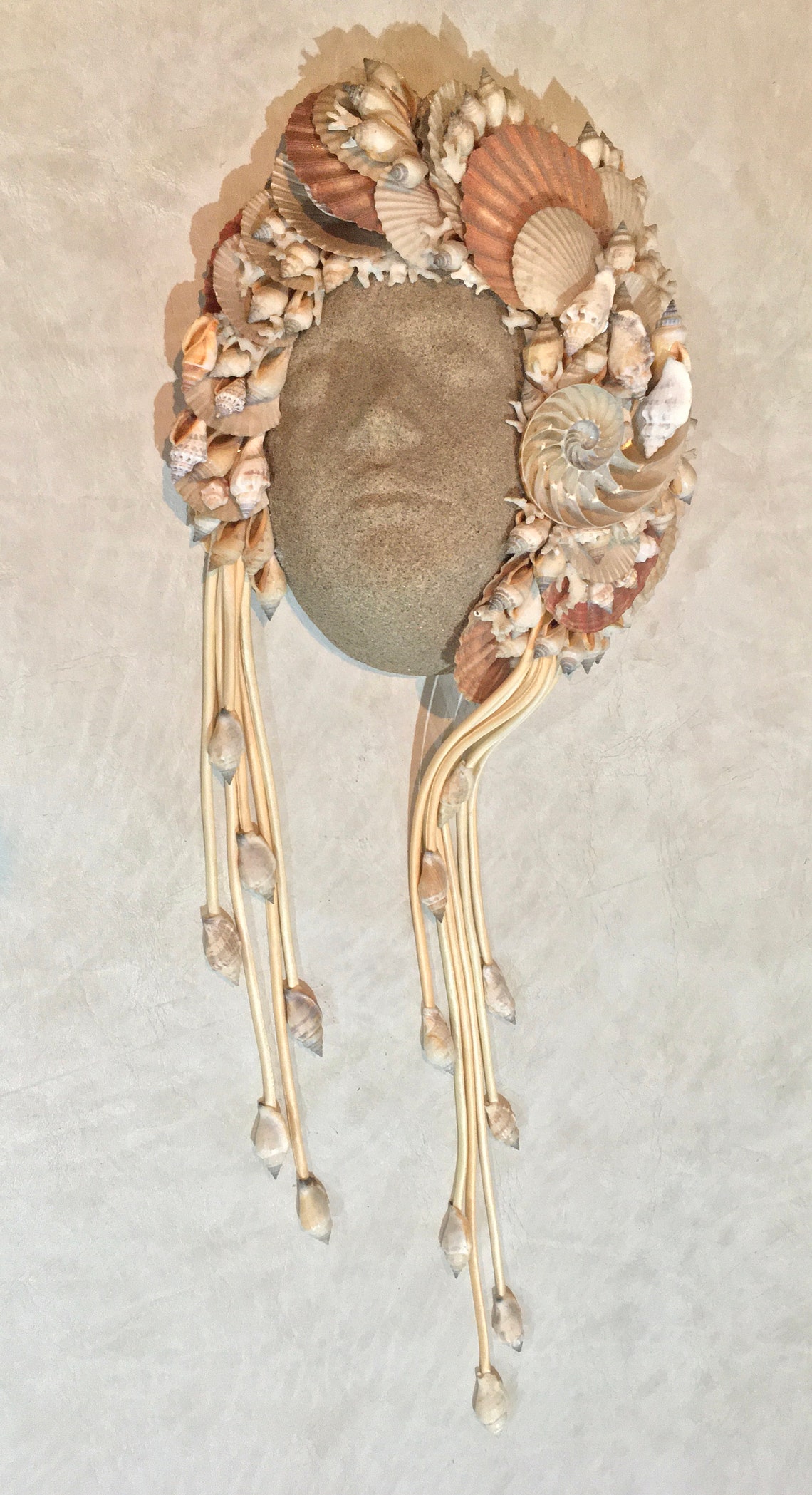 Aphrodite Shell wall hanging sculpture rare unique item | Etsy