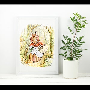 May include: A watercolor illustration of a rabbit wearing a red hooded cloak and carrying a basket, walking through a forest.