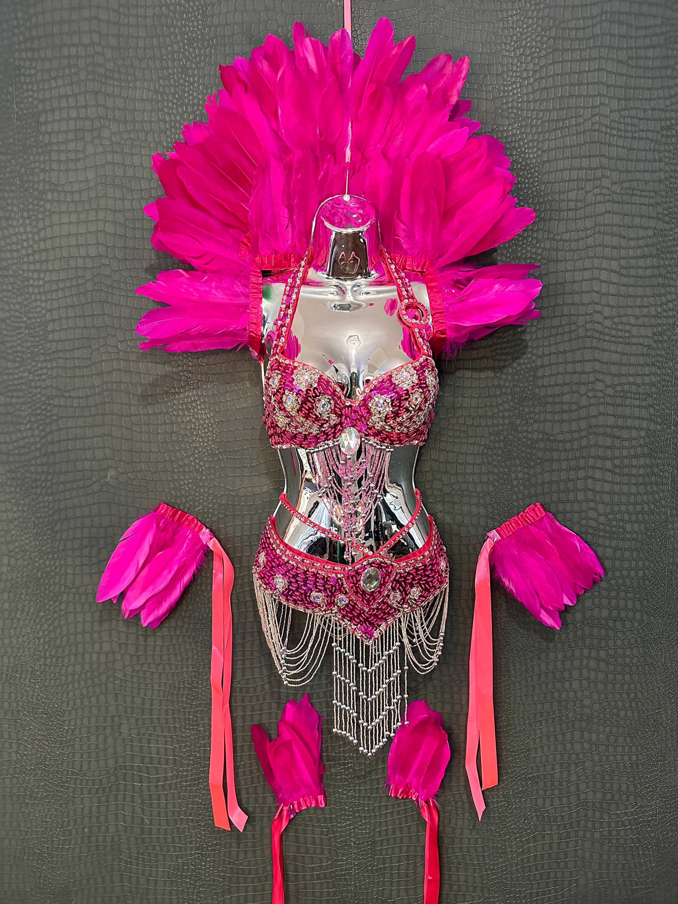 Samba Carnival Wire Bra and Panty and Feather Hand Beads Passista