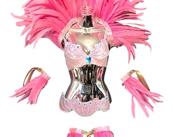 May include: Pink feather costume set with a bra top, skirt, and arm cuffs. The bra top and skirt are embellished with rhinestones. The arm cuffs are tied with gold ribbon.
