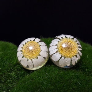 Daisy earrings pressed flower studs preserved daisy jewelry floral necklace gift spring fashion summer designs