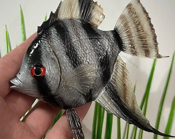 Custom Fish Replicas! 100% Handmade