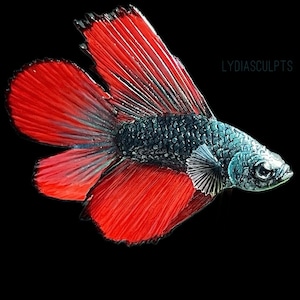 Custom Betta Fish Figurine