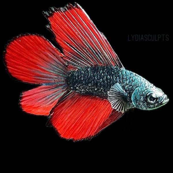 Custom Betta Fish Figurine