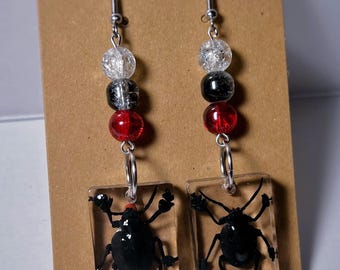 Bloody-Nosed Beetle Resin Dangle Earrings | Handmade Beetle Jewelry