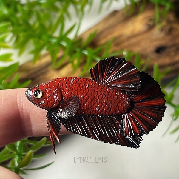 Betta Fish Magnet | Black Red Dragon Plakat