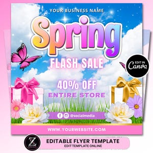 Spring Sale Flyer, Spring Appointment Flyer, Spring Season Flyer, Beauty Hair Lashes Nails Braids Canva Template Flyer