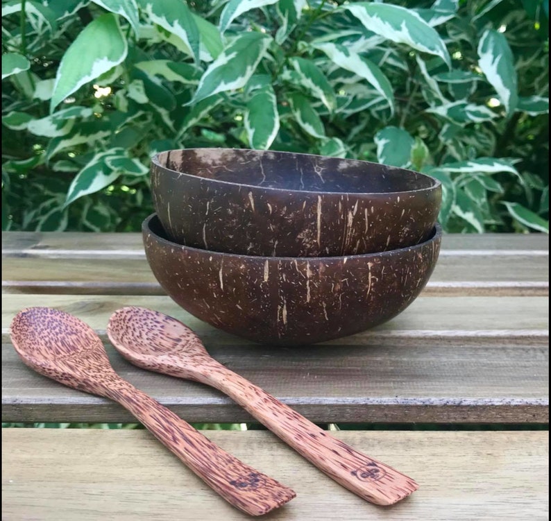 Coconut Bowls Set of 2 Etsy Canada