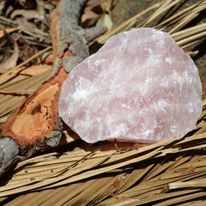 May include: A large, pale pink rose quartz crystal resting on a bed of dried palm leaves.