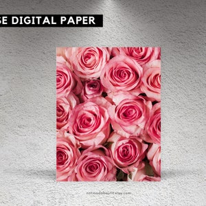 May include: A digital paper featuring a close-up of a bouquet of pink roses. The roses are arranged in a tight cluster, with their petals overlapping and creating a soft, romantic look.