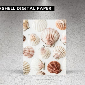 May include: A digital paper featuring a close-up of seashells on a white background. The seashells are various shades of white, pink, and brown.