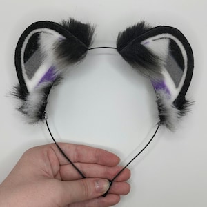 asexual bear ears