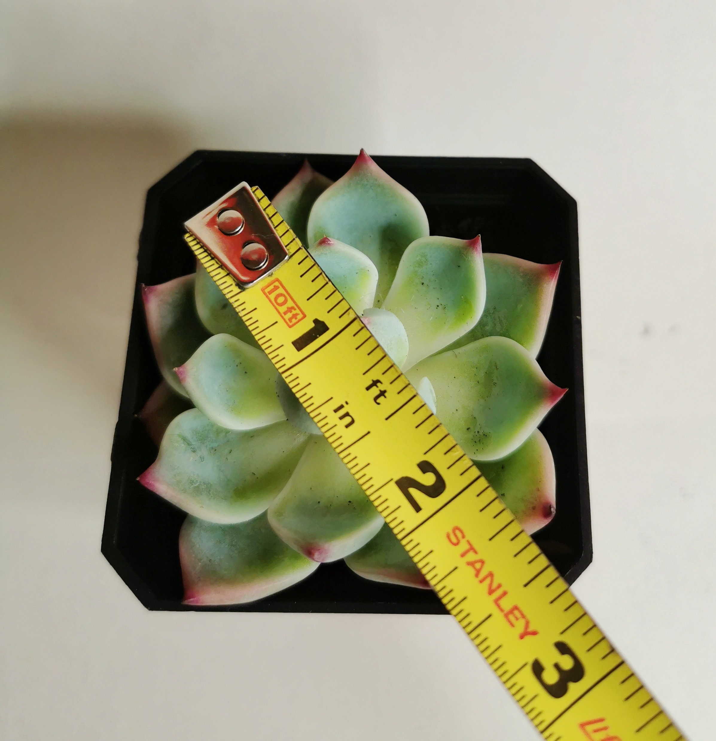 How to make a good resume image