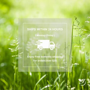 May include: White text on a white background with a green blur in the background. The text reads "SHIPS WITHIN 24 HOURS (Monday-Friday)". Below the text is a white icon of a delivery truck. Below the icon is the text "Enjoy Free domestic shipping for orders over $35".