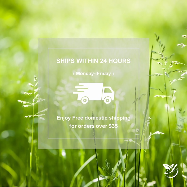 May include: White text on a white background with a green blur in the background. The text reads "SHIPS WITHIN 24 HOURS (Monday-Friday)". Below the text is a white icon of a delivery truck. Below the icon is the text "Enjoy Free domestic shipping for orders over $35".