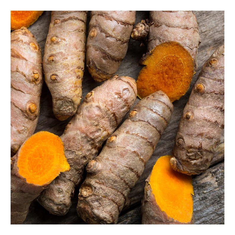 Pu&ograve; includere: Primo piano di radice di curcuma, una spezia di colore arancione brillante utilizzata in cucina e a scopo medicinale. Le radici sono marroni e nodose con un interno arancione brillante.