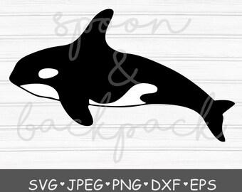 Download Orca Svg Etsy