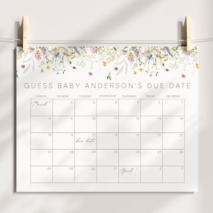 Jogo de calendário de data de parto do bebê Wildflower, placa de data de parto do bebê, placa de adivinhação da data de aniversário do bebê, quadro de previsão do bebê, jogo de data de parto, 0267_136