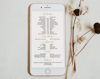 Wedding Day Timeline Template, Wedding Itinerary, Wedding Schedule, Order Of Events Template, Printable Timeline, Wedding Program 6022_060