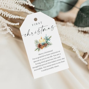 First Christmas Tag DIY, First Year Milestone Tag, Milestone Wine Tags, Christmas Wine Tags, Wine Tags Watercolor, 0243_077 image 6