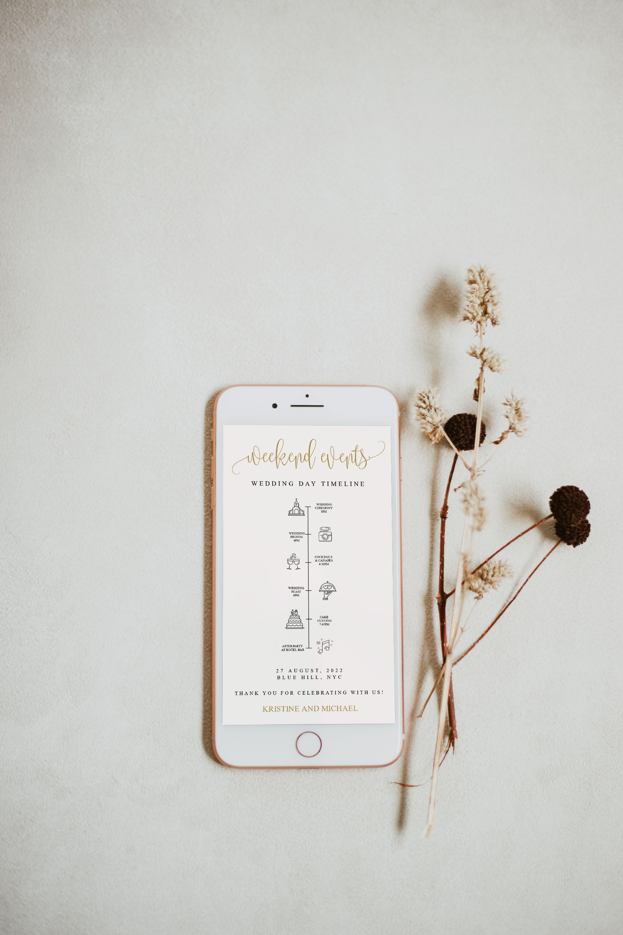 Modern Electronic Wedding Timeline Template, Wedding Party Timeline, Electronic Itinerary, Evite, Day of Event, Itinerary Schedule, 6022_058