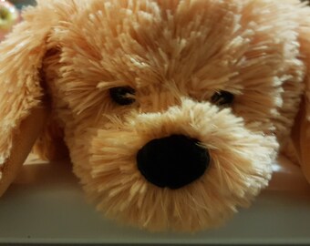cavoodle plush toy