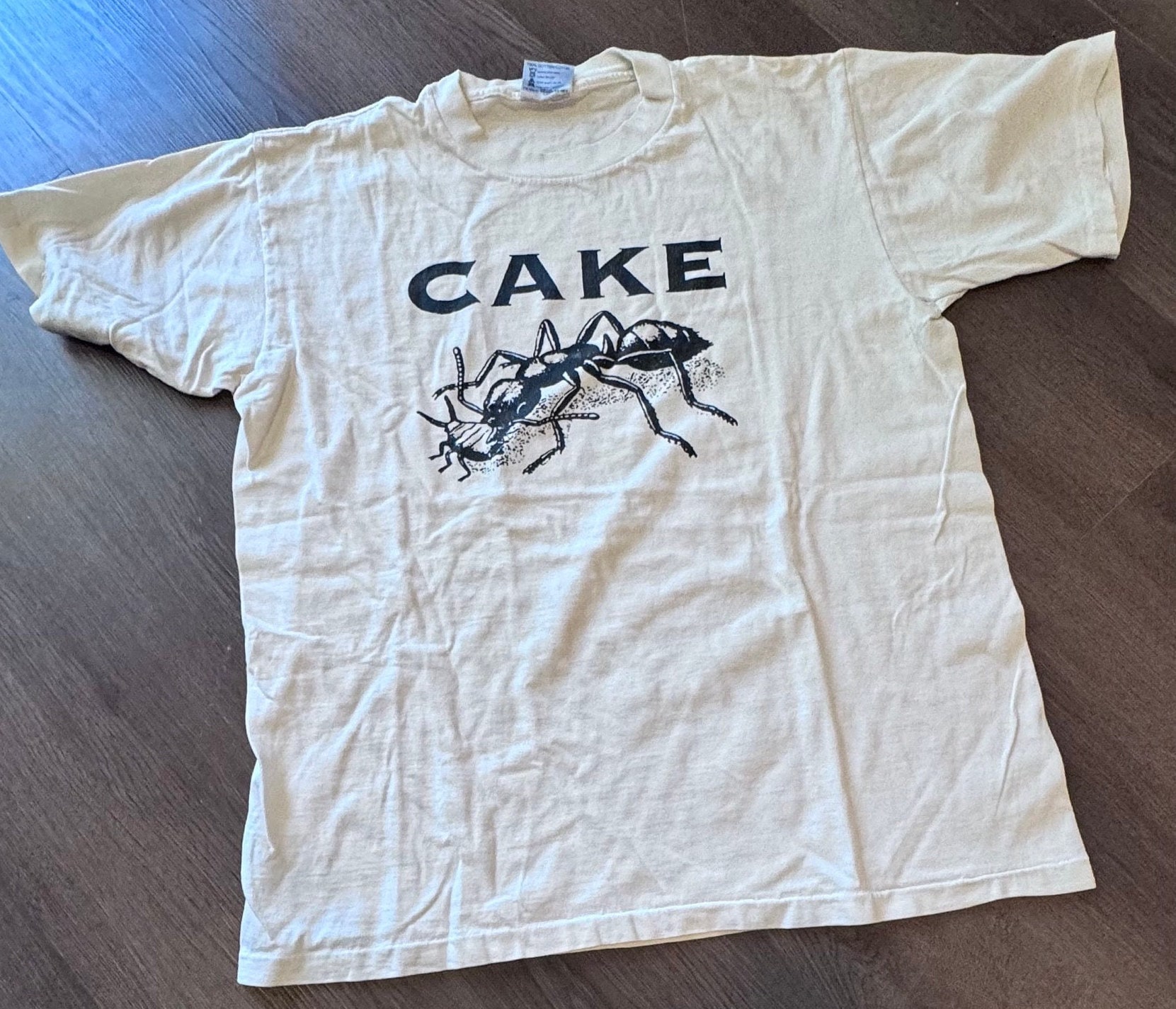 希少 90s CAKE Tシャツ バンド 蟻　ケイク Cake - “original Ant Design 1991” - Concert T-shirt - XL - Vintage