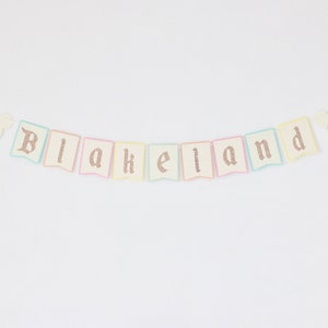 Disneyland Birthday Banner | Disneyland Party | Disneyland First Birthday | Disneyland Party | Disney First Birthday | Disney Birthday Decor